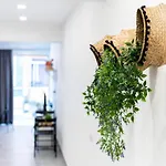 Inadan By Canariasgetaway * لاس بالماس دي غران كاناريا